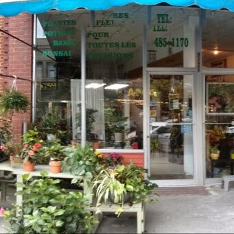 Iris Florist | 5721 Rue Sherbrooke Ouest, Montréal, QC H4A 1W9, Canada | Phone: (514) 485-1170