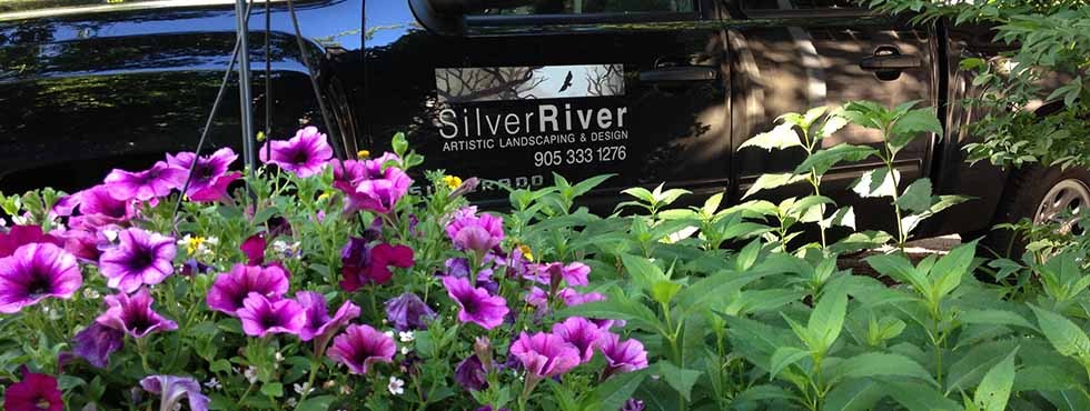 Silver River Landscaping | 5231 Woodhaven Dr, Burlington, ON L7L 3T3, Canada | Phone: (905) 333-1276