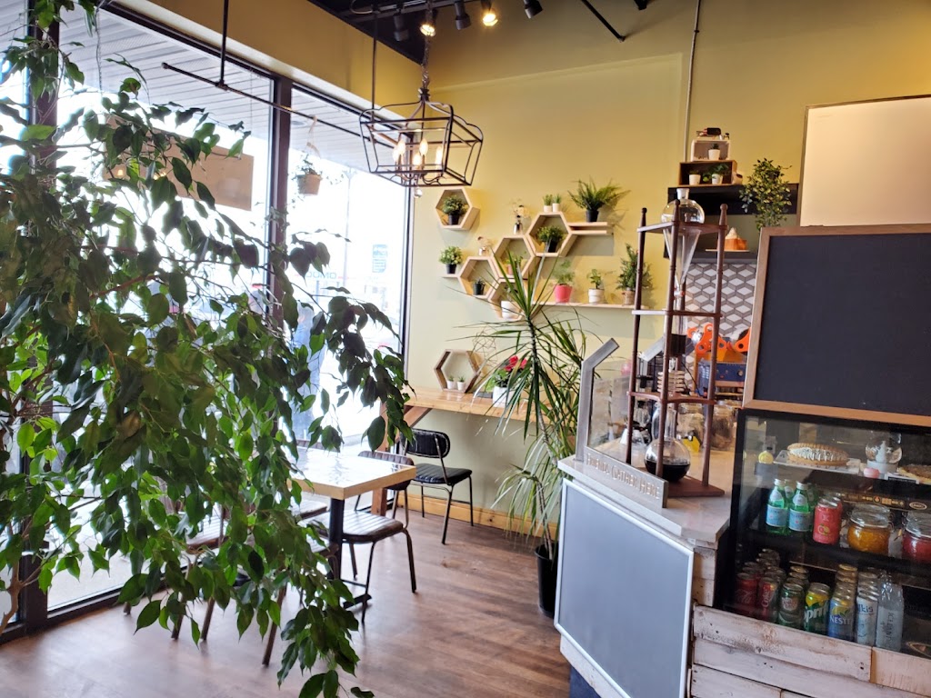 Urban Plant Cafe | 9261 34 Ave NW #18A, Edmonton, AB T6E 5T5, Canada | Phone: (780) 490-1377