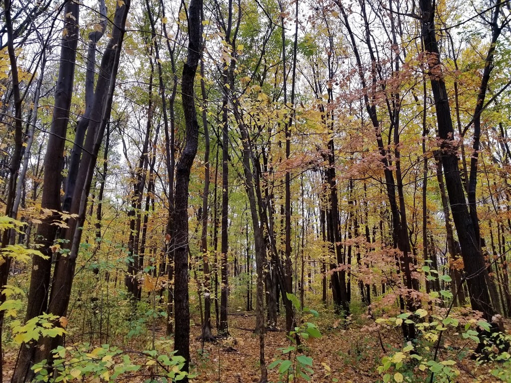 Park Pierre-Bédard | Montreal, QC H1M 3A2, Canada