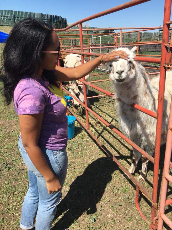 Flying Cross Ranch | 41129 Range Rd 263, Lacombe, AB T4L 2N5, Canada | Phone: (403) 350-7368