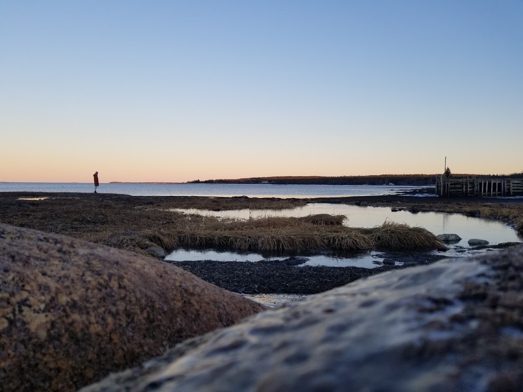 Lower Rose Bay Cemetery | 501 Kingsburg Rd, Rose Bay, NS B0J 2X0, Canada