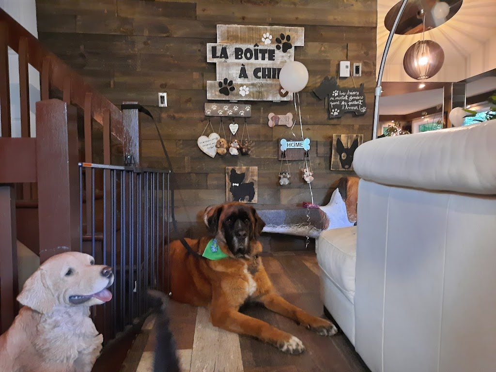 La Boîte à Chiens! | 634 Rue Marie Antoinette, Pintendre, QC G6C 1K4, Canada | Phone: (418) 838-9112