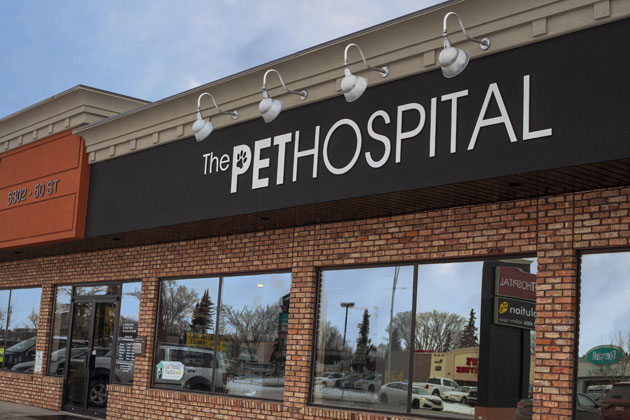 The Pet Hospital | 5302 50 St, Leduc, AB T9E 6Z6, Canada | Phone: (780) 986-3297