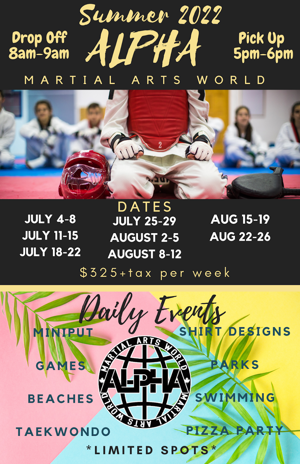 Alpha Martial Arts World | 110 Little Ave, Barrie, ON L4N 4K8, Canada | Phone: (416) 474-3840