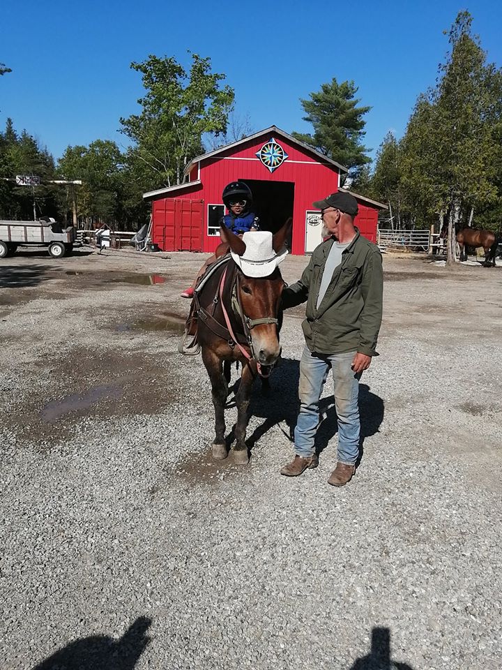 Kicking Mule Riding Stables & Cook House | 55 Gauthier Rd, Tehkummah, ON P0P 2C0, Canada | Phone: (705) 859-1040