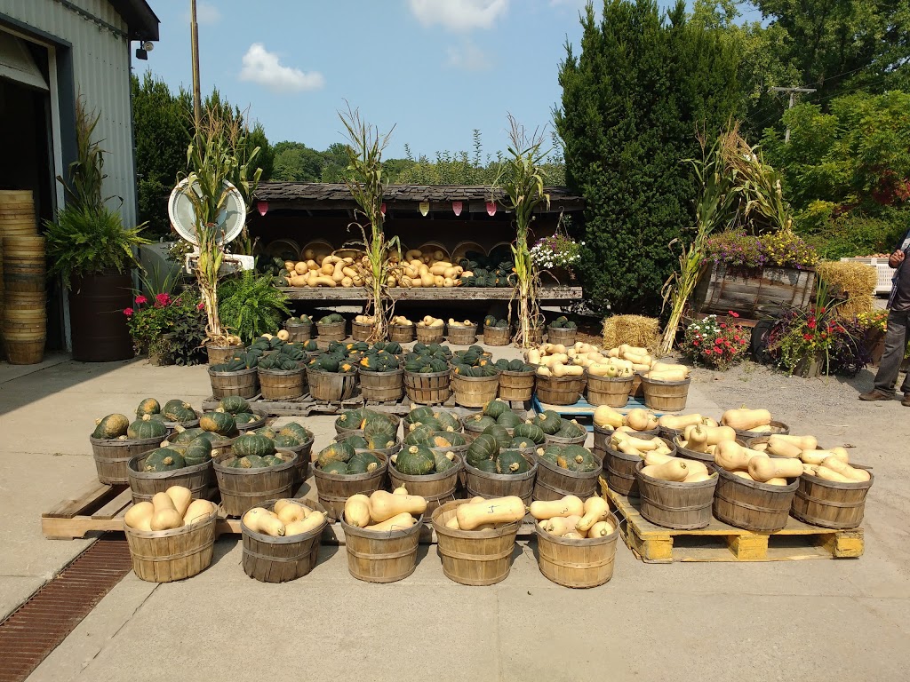 Fonthill Family Fruit Farm | 1724 Pelham St, Fonthill, ON L0S 1E6, Canada | Phone: (905) 892-5811