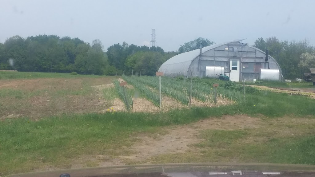 Ferme Paquette Dessureaux | 371 Chem. de la Rivière à Veillet, Sainte-Geneviève-de-Batiscan, QC G0X 2R0, Canada | Phone: (418) 362-2829