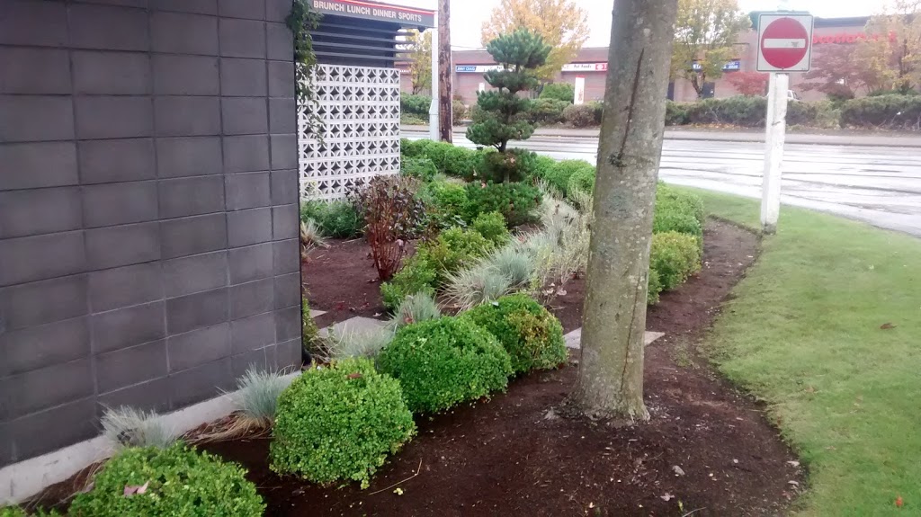 Turf Boys Lawn & Landscape | 21007 92 Ave, Langley City, BC V1M 2C4, Canada | Phone: (604) 309-8798