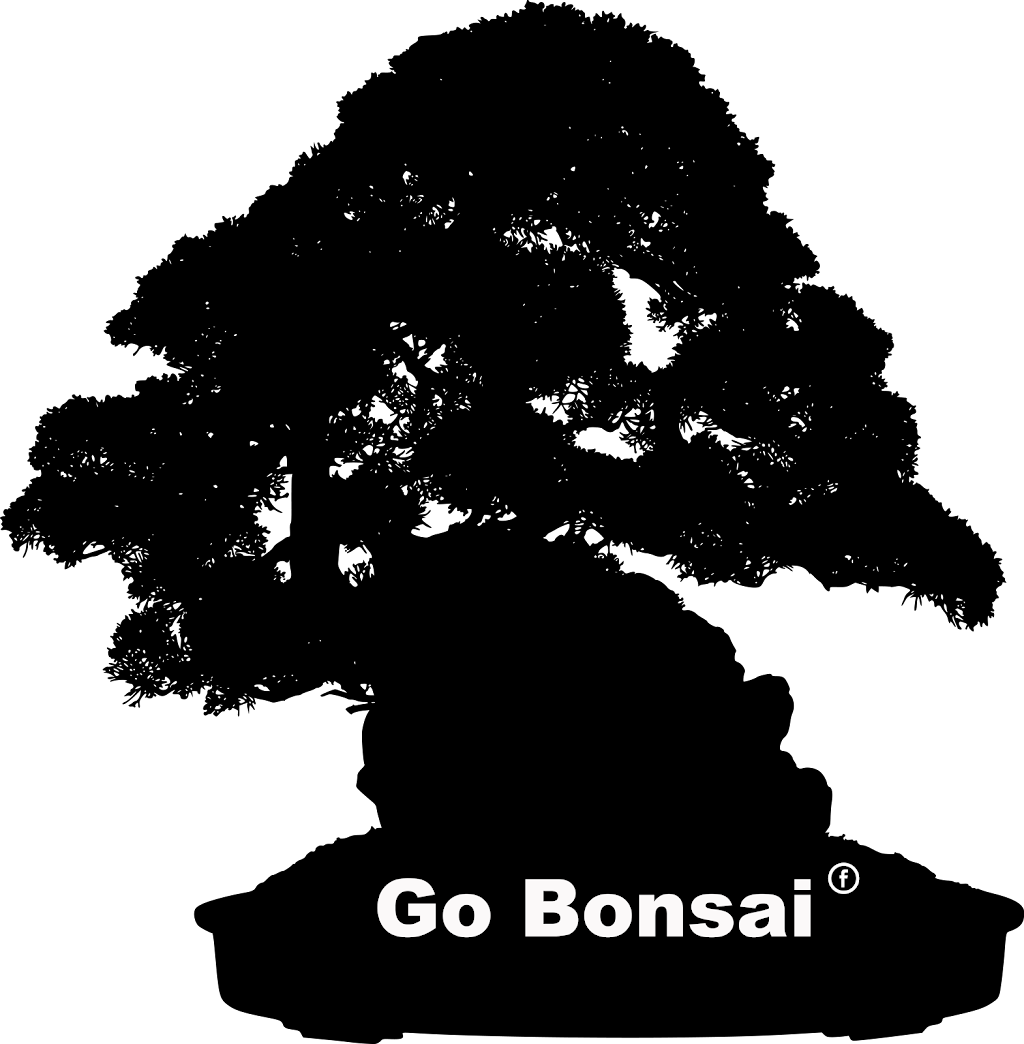 Go Bonsai | 1139 40e Av, Laval, QC H7R 4X7, Canada | Phone: (514) 779-4565