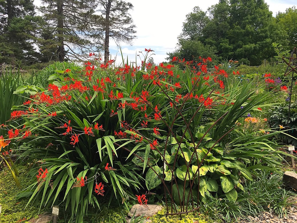 The Artful Garden | 1016 Partridge Ln, Bracebridge, ON P1L 1W8, Canada | Phone: (705) 645-8618