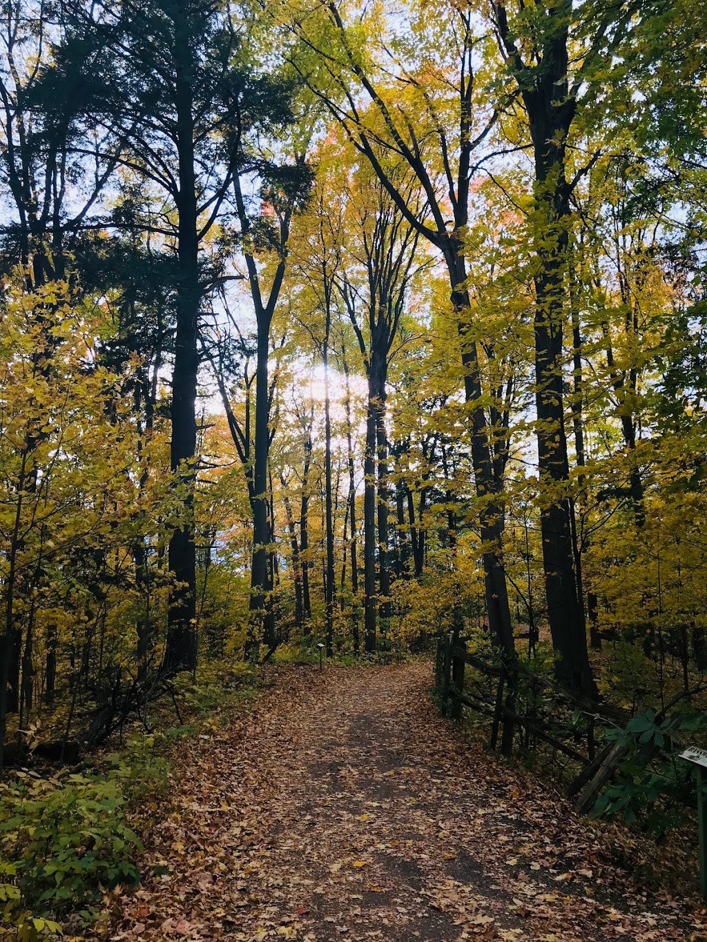 Kortright Centre for Conservation | 9550 Pine Valley Dr, Woodbridge, ON L4L 1A6, Canada | Phone: (905) 832-2289