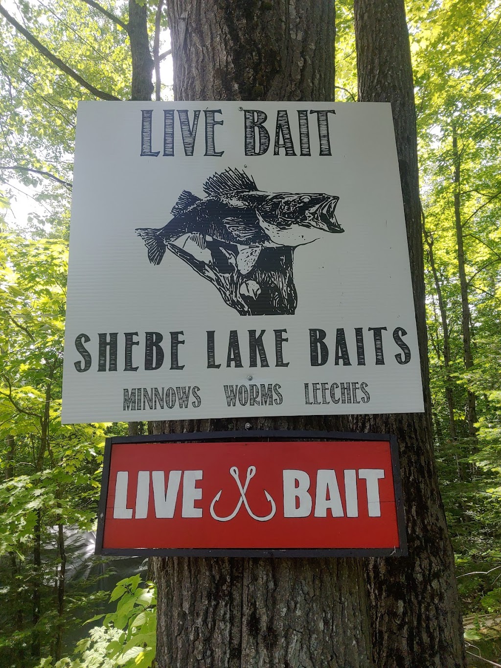 Shebe Lake Baits | 238 Shebeshekong Rd, Nobel, ON P0G 1G0, Canada | Phone: (705) 938-1023