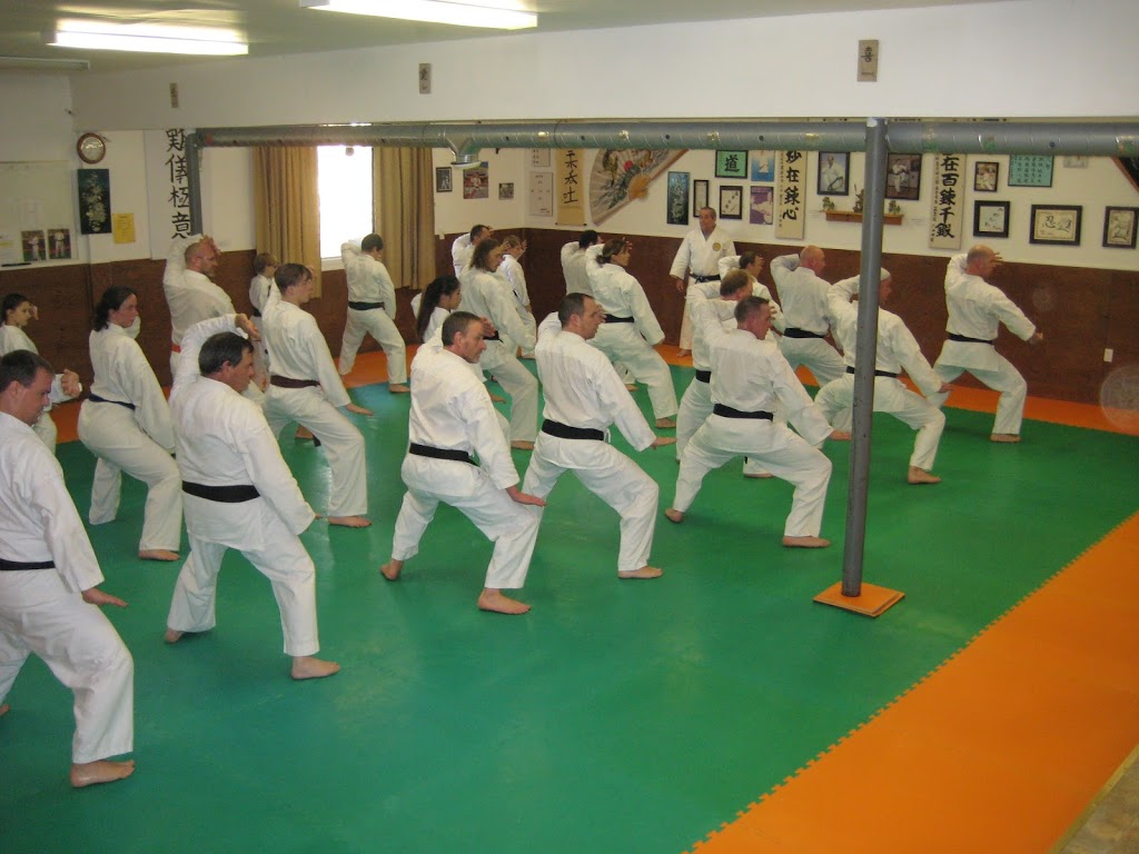 Budokan Karate | 69 Colborne St W, Brantford, ON N3T 1K6, Canada | Phone: (519) 720-9230