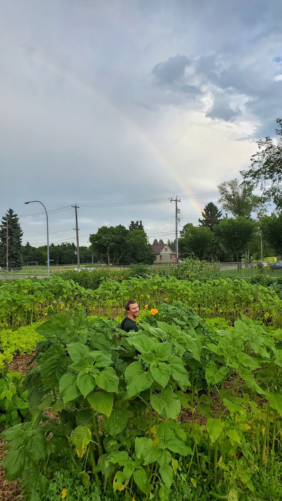 Edmonton Urban Farm | 11312 79 St NW, Edmonton, AB T5B 2K2, Canada | Phone: (780) 983-4010