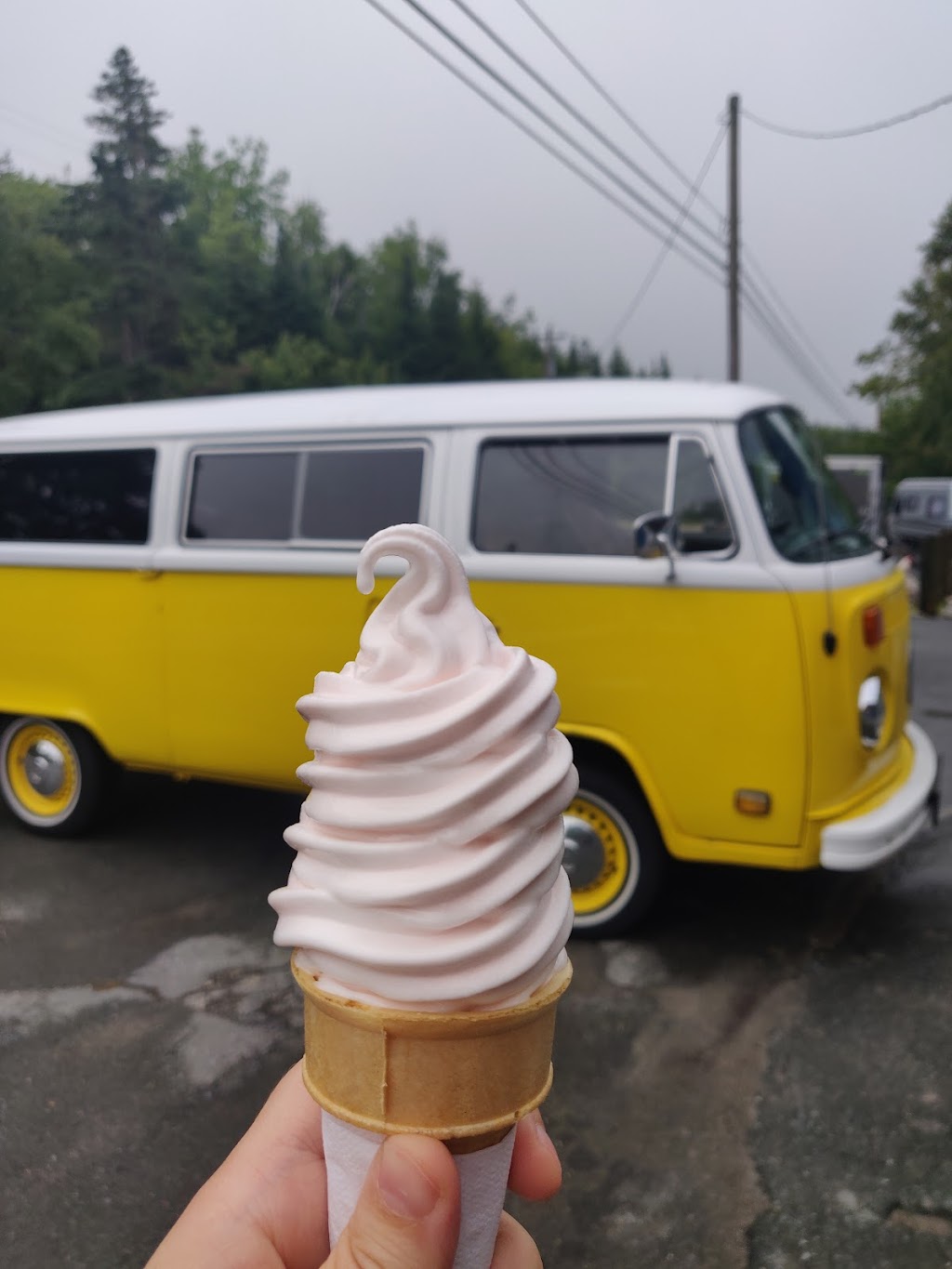 The Little Ice Cream Shop | 8230 St Margarets Bay Rd, Black Point, NS B0J 1B0, Canada | Phone: (782) 640-1516