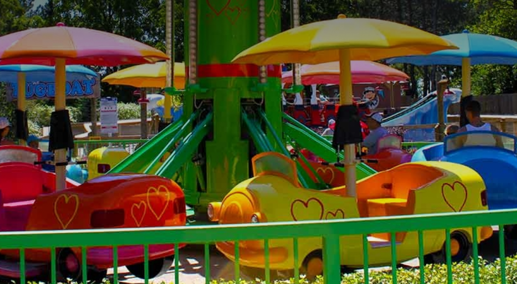 Sallys Love Buggies | 1 Canadas Wonderland Drive, Maple, ON L6A 1S6, Canada | Phone: (905) 832-7000