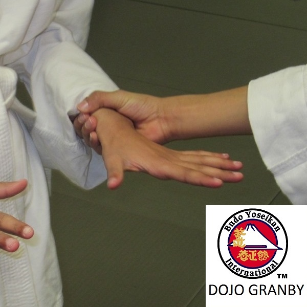 Ecole DAikido Yoseikan De Granby | 784 Rue Dufferin, Granby, QC J2H 0T9, Canada | Phone: (450) 558-8430