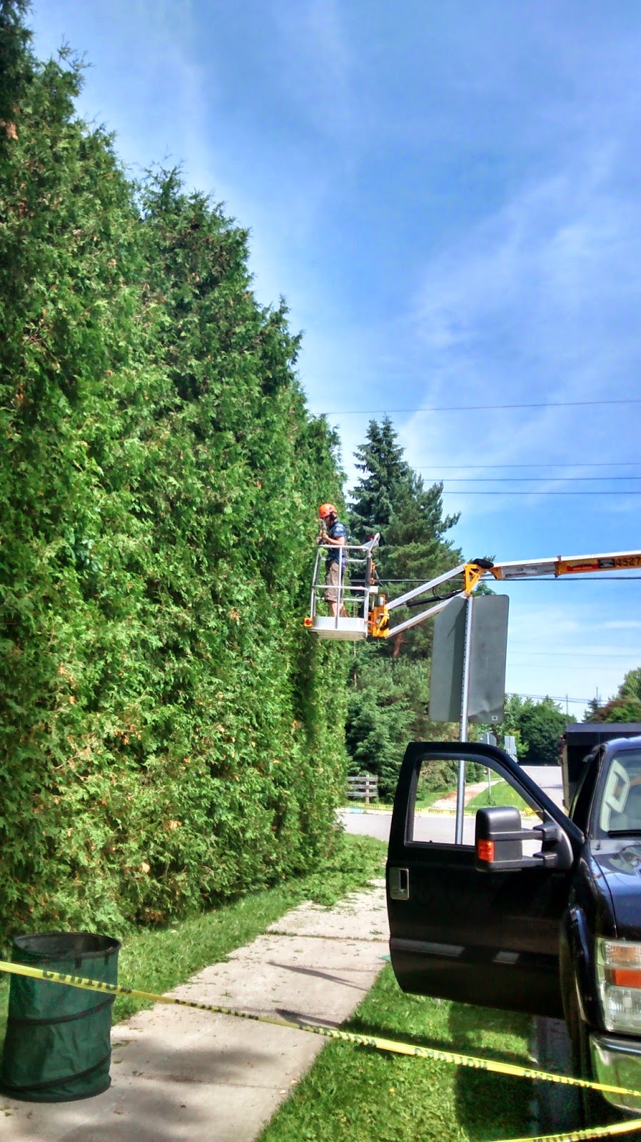 Out Of Your Tree Care | 465 St Patrick St W, Fergus, ON N1M 1P6, Canada | Phone: (226) 820-3611