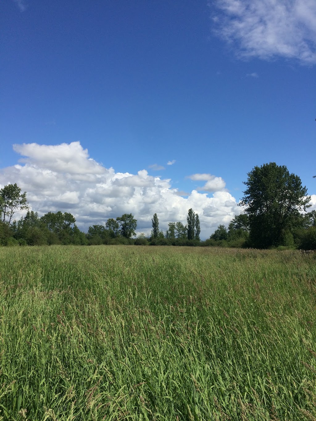 Mud Bay park | Surrey, BC V4A, Canada