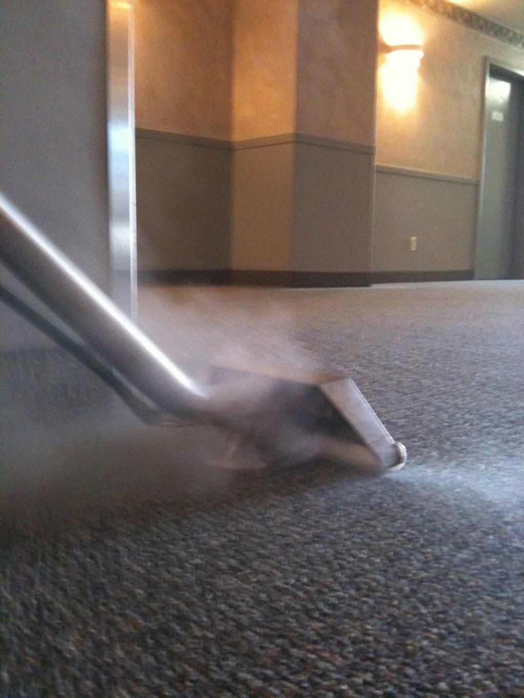 Clean X Carpet and Upholstery Cleaning Ltd. | 374 Sandalwood Close NW, Calgary, AB T3K 4B4, Canada | Phone: (403) 615-1544