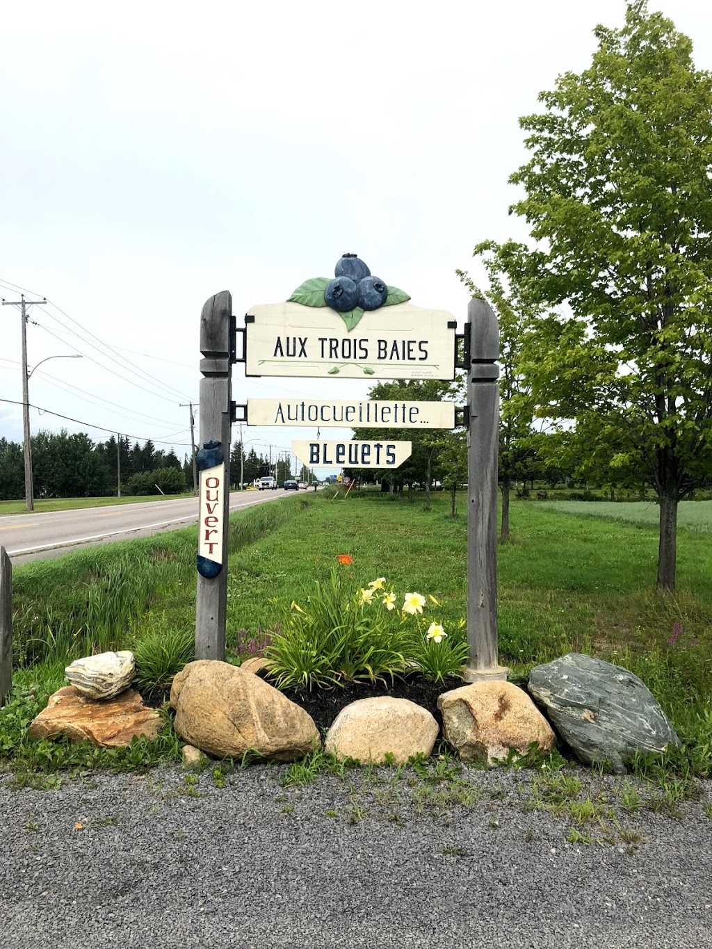 Aux Trois Baies - Bleuetière familiale | 2140 Chemin Royal, Saint-Pierre, QC G0A 4E0, Canada | Phone: (418) 952-1693