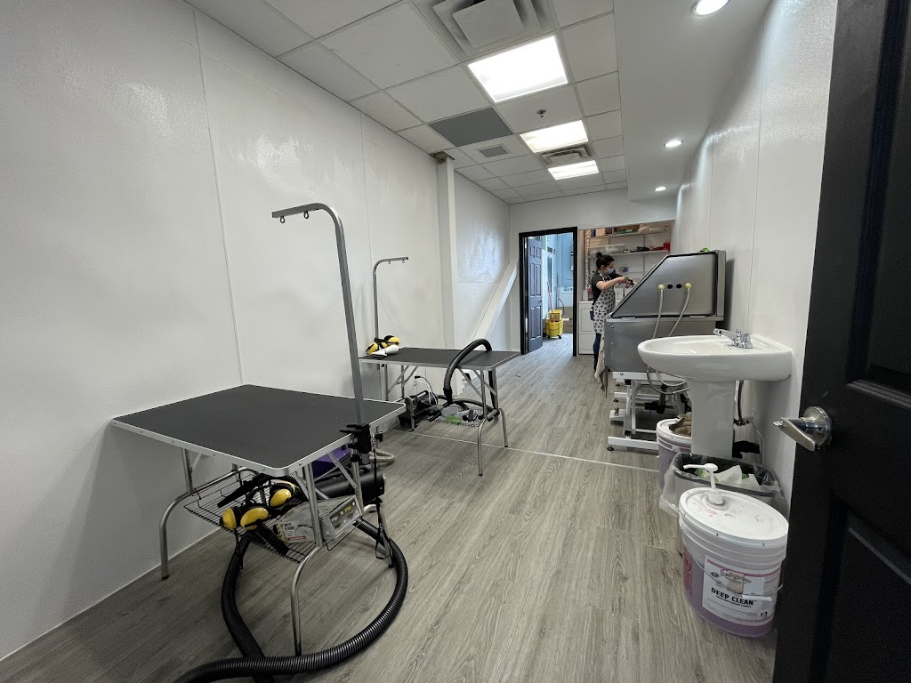 Royal Groomers and Daycare | 500 Royal Oak Dr NW #104, Calgary, AB T3G 0E8, Canada | Phone: (403) 208-4651