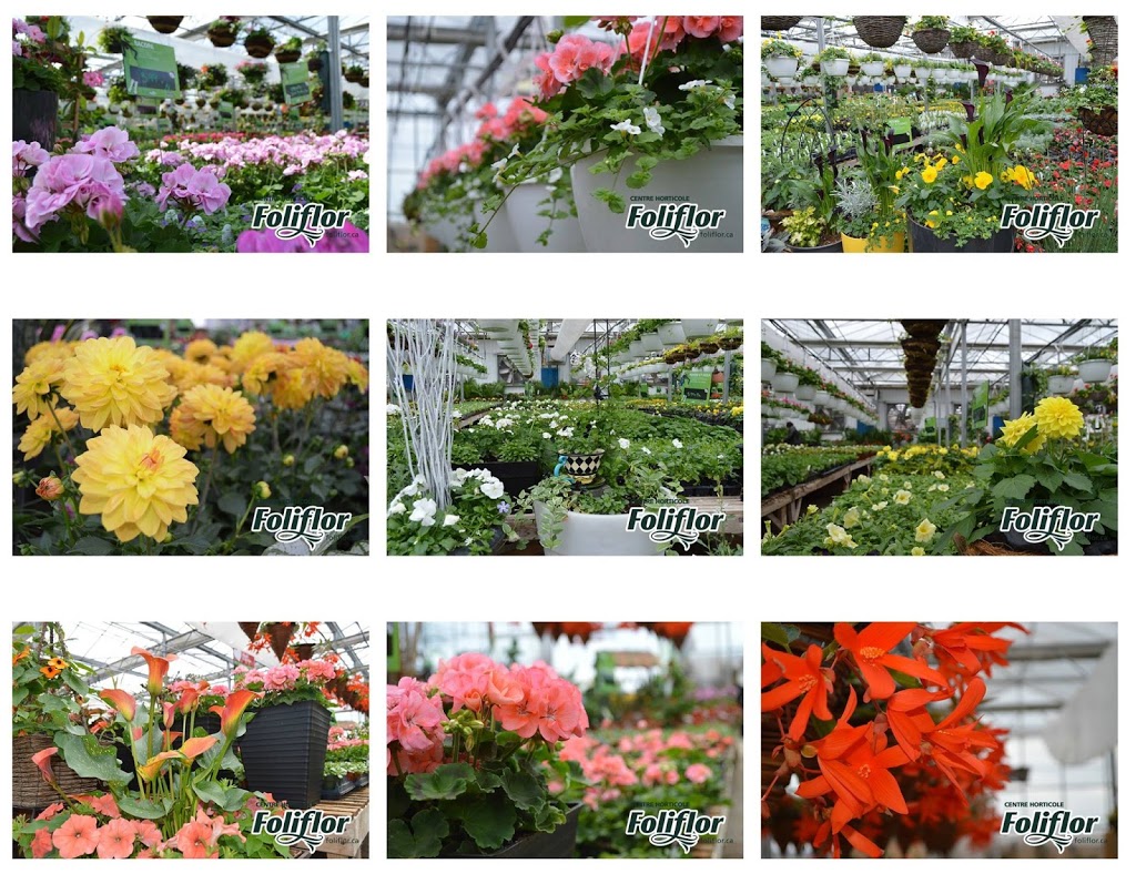 Centre dhorticulture FoliFlor | 3395 Boulevard Terra Jet, Saint-Cyrille-de-Wendover, QC J1Z 1B2, Canada | Phone: (819) 397-2898