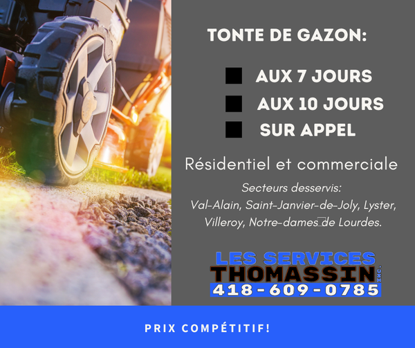 LES SERVICES THOMASSIN INC. | 1099 Rue Carr Laroche, Val-Alain, QC G0S 3H0, Canada | Phone: (418) 609-0785