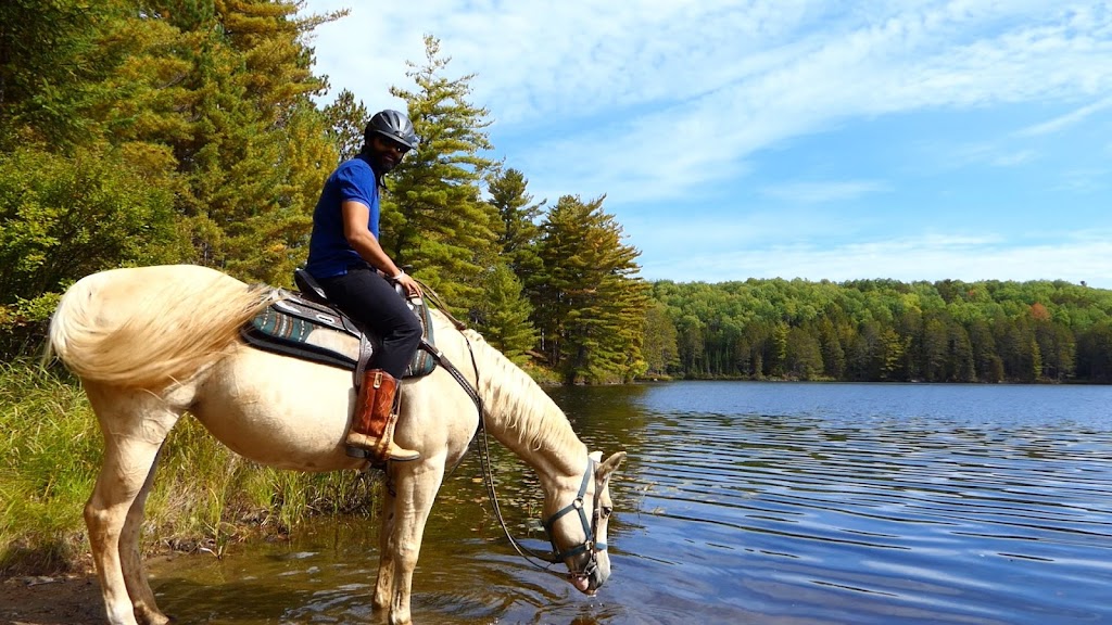 Highland Wilderness Tours | 239 E Lake Rd, Maynooth, ON K0L 2S0, Canada | Phone: (613) 334-9105