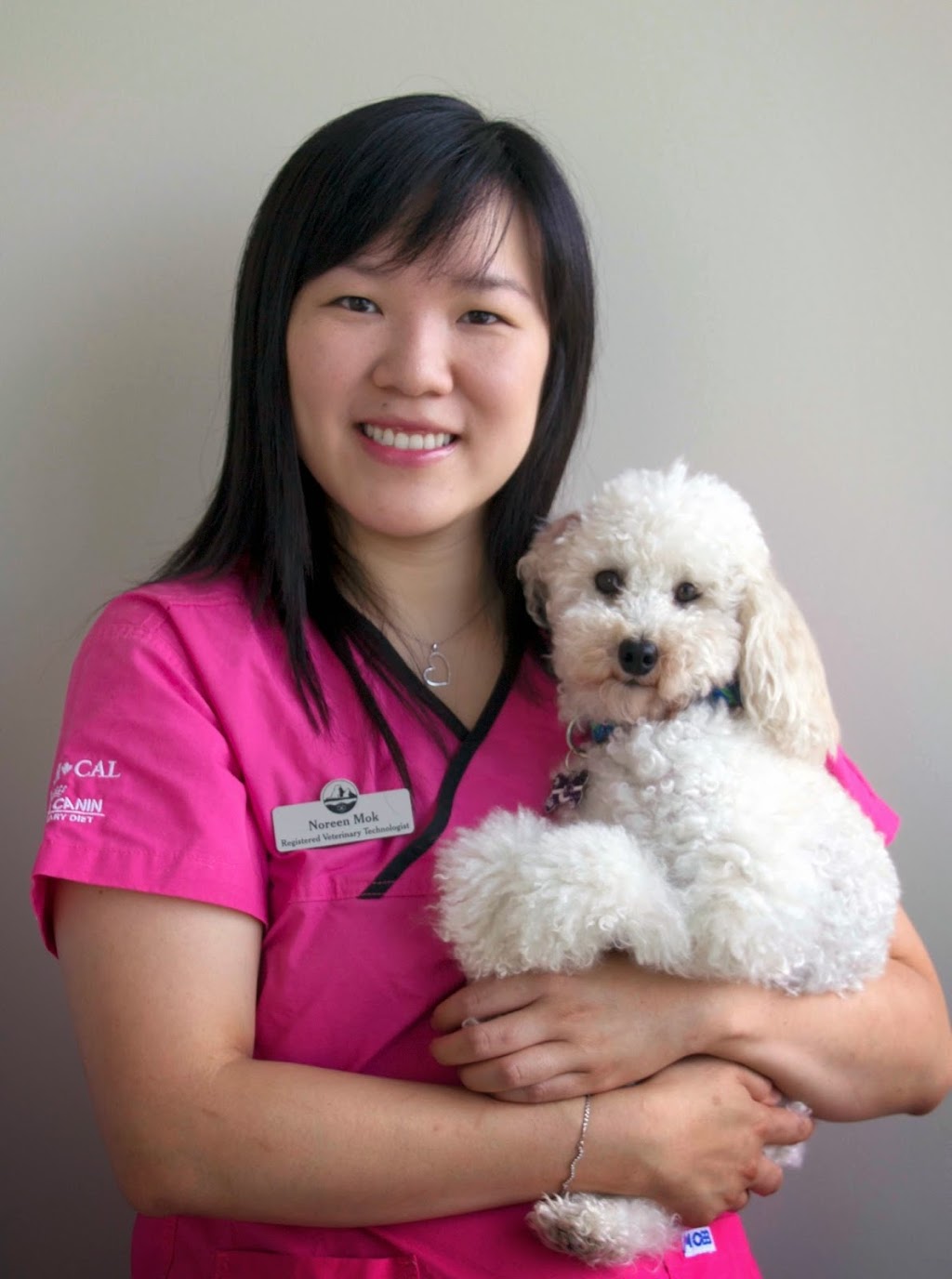 BC Animal Hospital | 15375 BC-10 #102, Surrey, BC V3S 0X9, Canada | Phone: (604) 372-1018