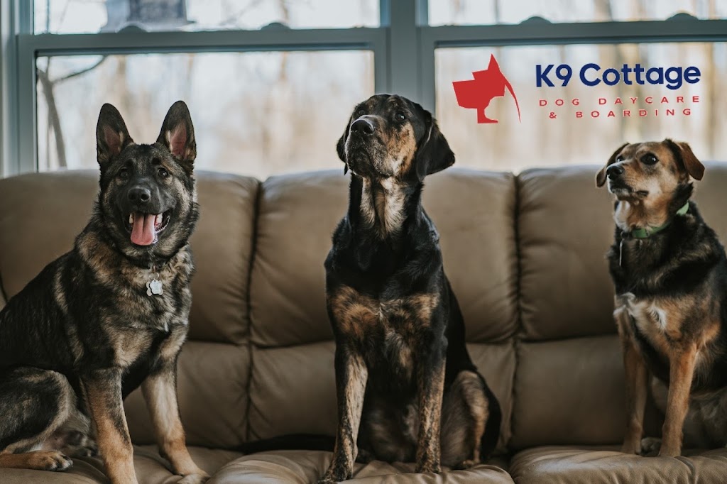 K9 Cottage | Parkwood Dr, Cambridge, ON N1S 3K8, Canada | Phone: (519) 223-5207