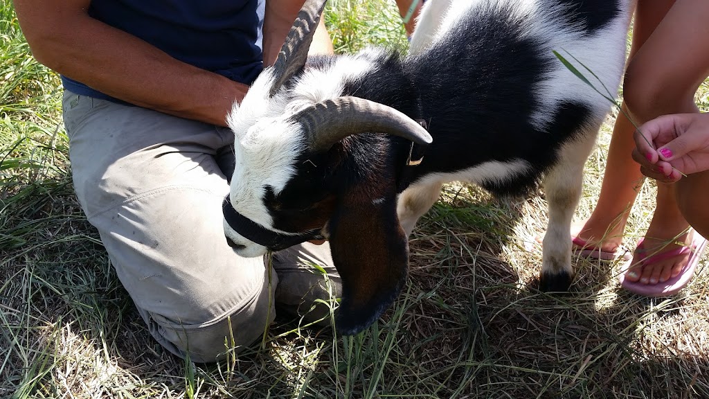 Piper Creek Community Gardens | Red Deer, AB T4R 2T3, Canada | Phone: (403) 342-8111