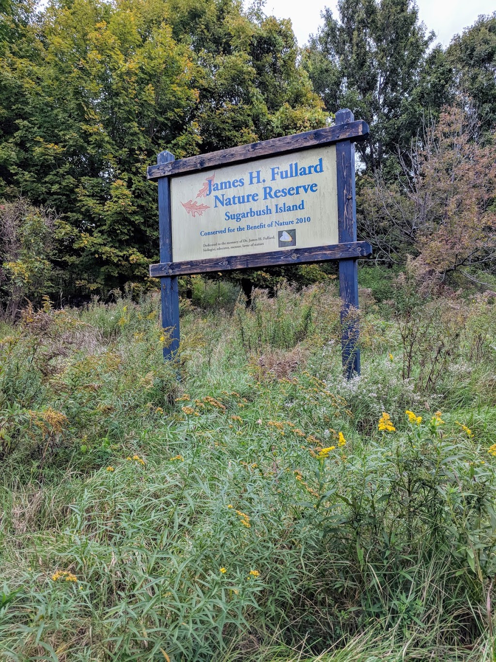 Murphys Bay Wetlands - Rideau Waterway Land Trust | Rideau Lakes, ON K0G 1E0, Canada