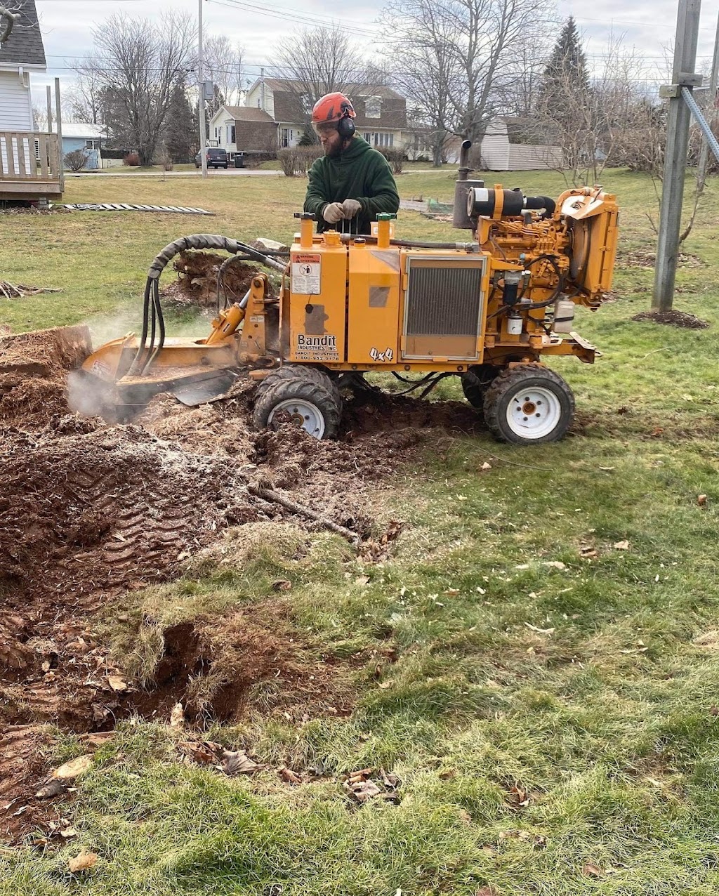 Laird Tree Care | 2647 Brothers Rd, Mount Stewart, PE C0A 1T0, Canada | Phone: (902) 969-9017