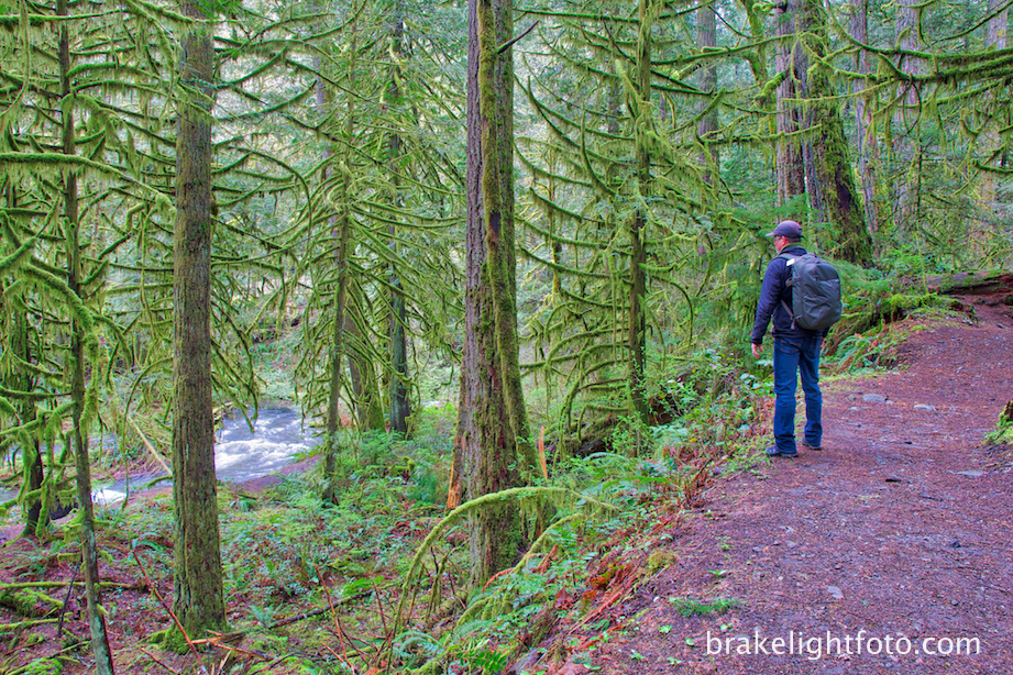 Goldstream Falls, Goldstream Provincial Park | 48°2745. 123°3420., 3"N BC-5, Kamloops, BC V0R, Canada