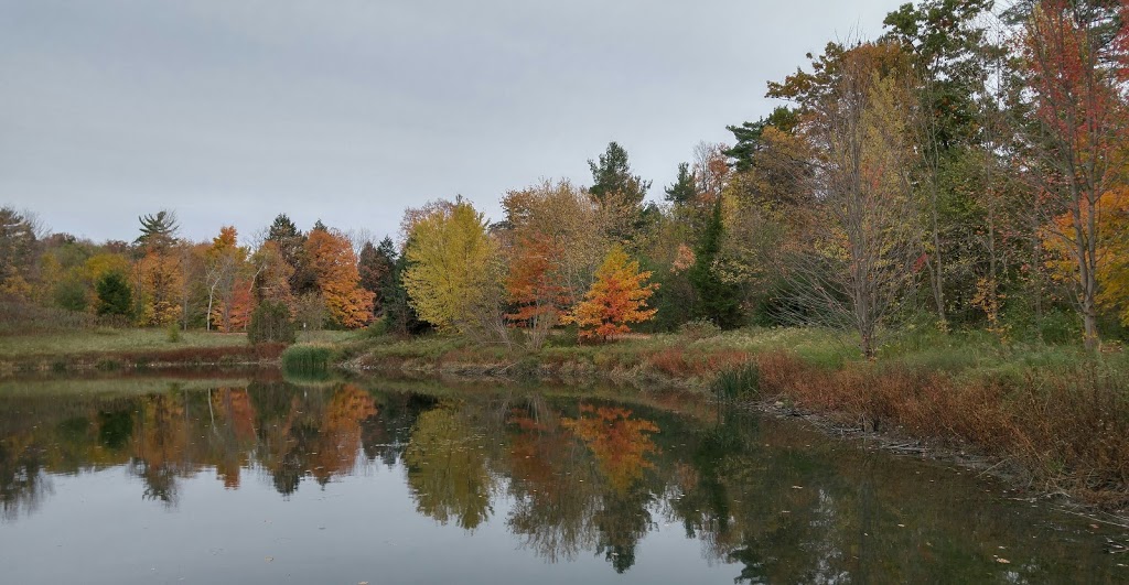 Macrill Crescent Pond | 5 Odessa Crescent, Markham, ON L6C 2L3, Canada