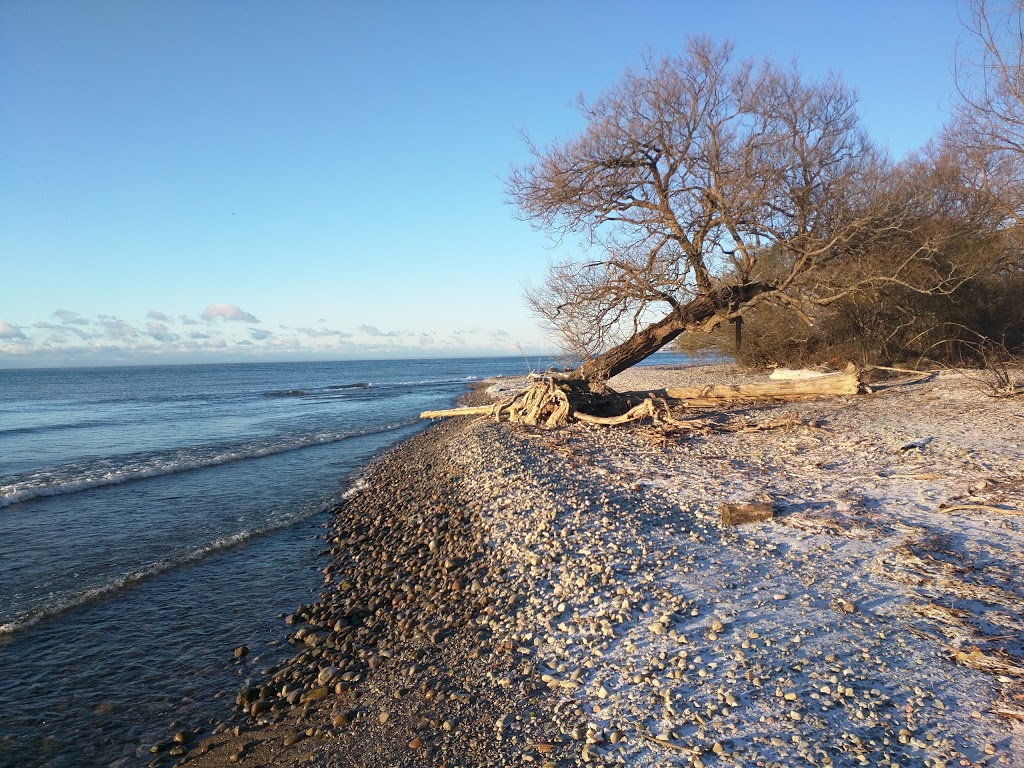 Samuel Wilmot Nature Area | 0A6, Waterfront Trail, Newcastle, ON L1B 0A6, Canada