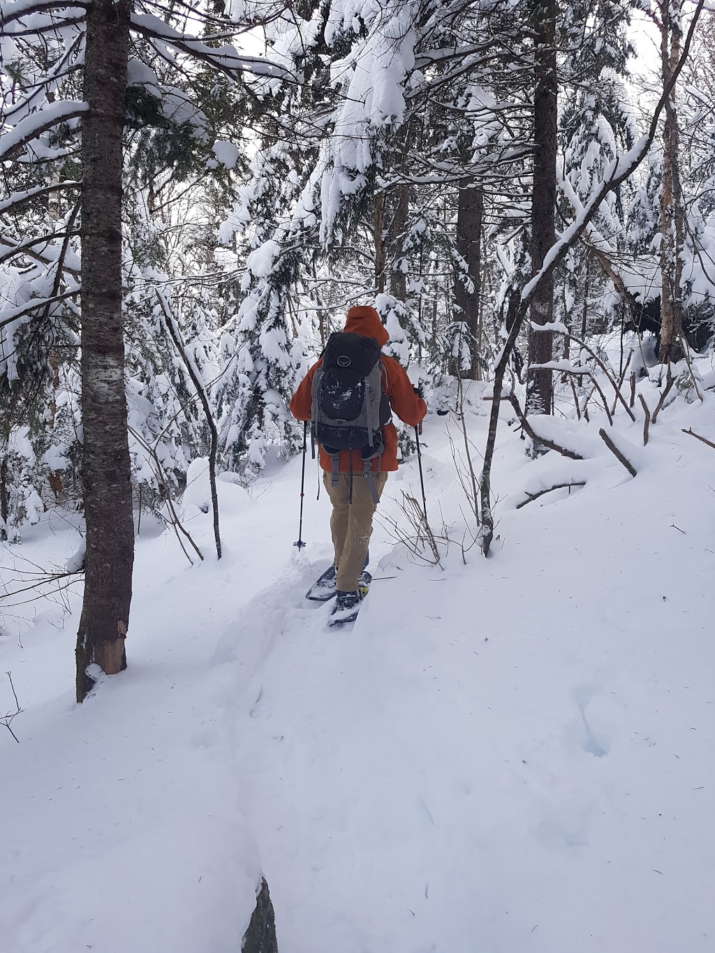 Sentier Montagnard | 7 Chemin de lEspoir, Sainte-Brigitte-de-Laval, QC G0A 3K0, Canada