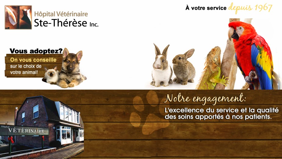 Hôpital Vétérinaire Ste-Thérèse membre du groupe Vétéri-Médic in | 268 Boulevard Curé-Labelle, Sainte-Thérèse, QC J7E 2X7, Canada | Phone: (450) 430-6060