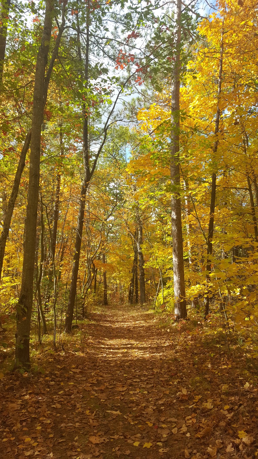 Goodrich-Loomis Conservation Area Parking | 1091-1345 Pinewood School Rd, Codrington, ON K0K 1R0, Canada | Phone: (613) 394-4829