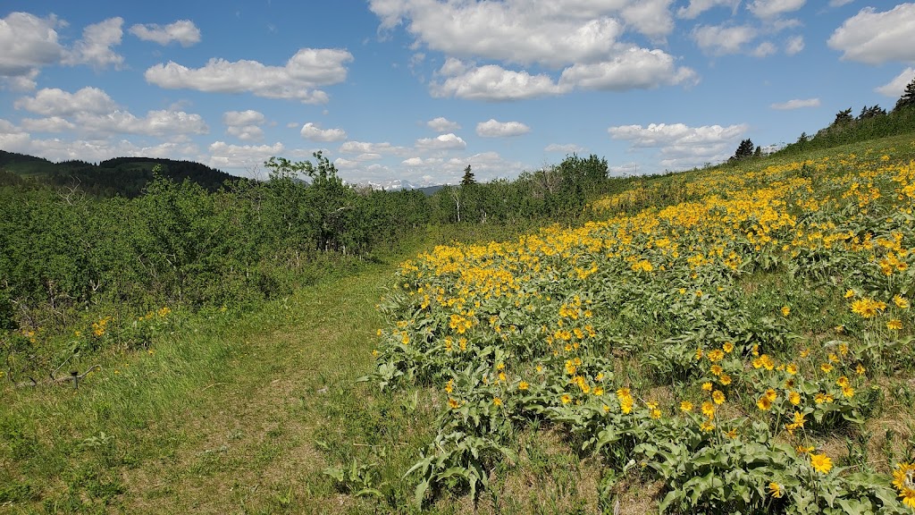 Beauvais Lake Provincial Park | Pincher Creek, AB T0K 1W0, Canada | Phone: (403) 627-1165