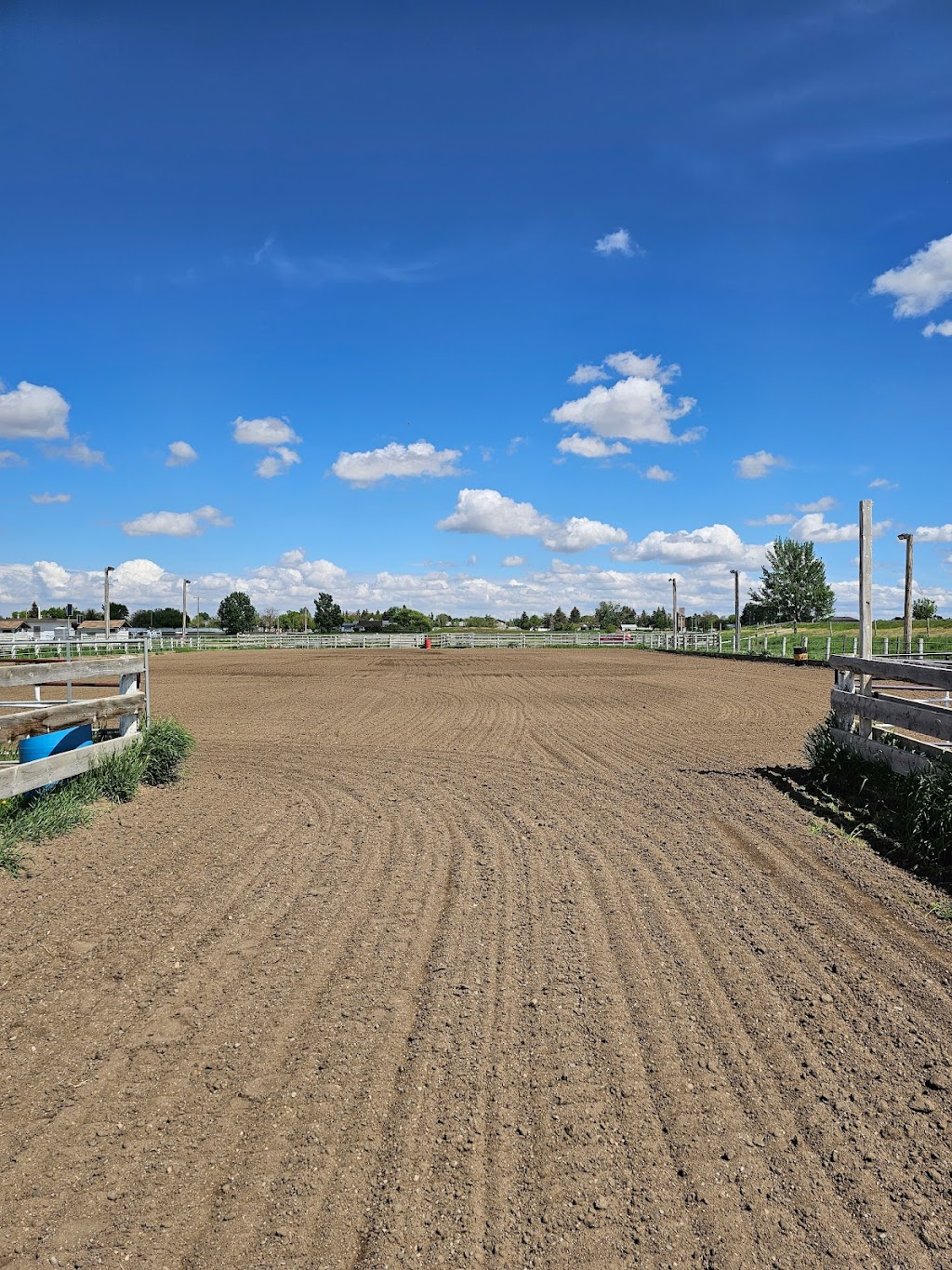 Stirling Silver Saddle Club | 4 Ave, Stirling, AB T0K 2E0, Canada | Phone: (403) 593-2221