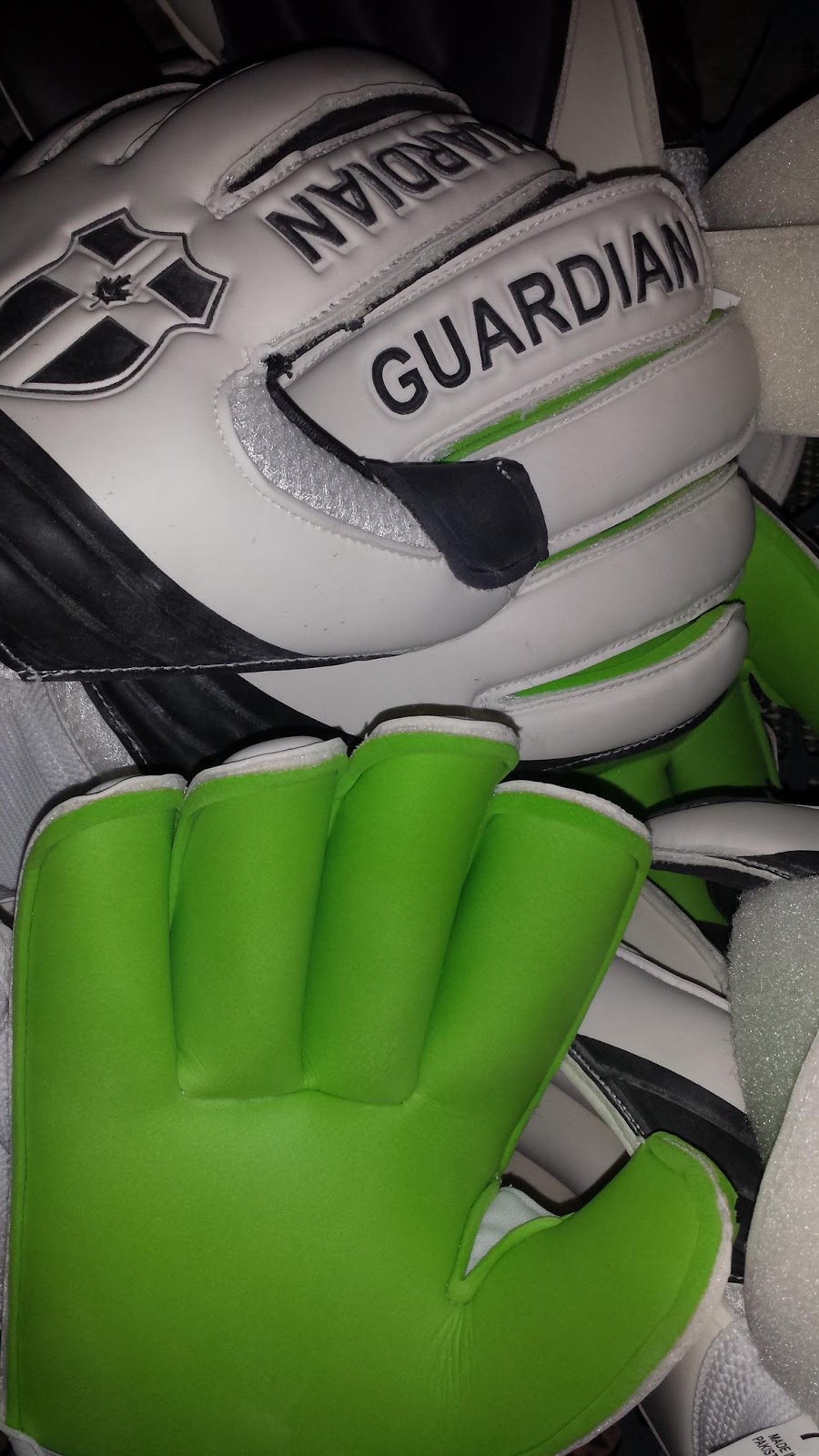 The Guardian Goalkeeper Academy | 1370 Wallace Rd #5, Oakville, ON L6L 2Y2, Canada | Phone: (289) 813-0340
