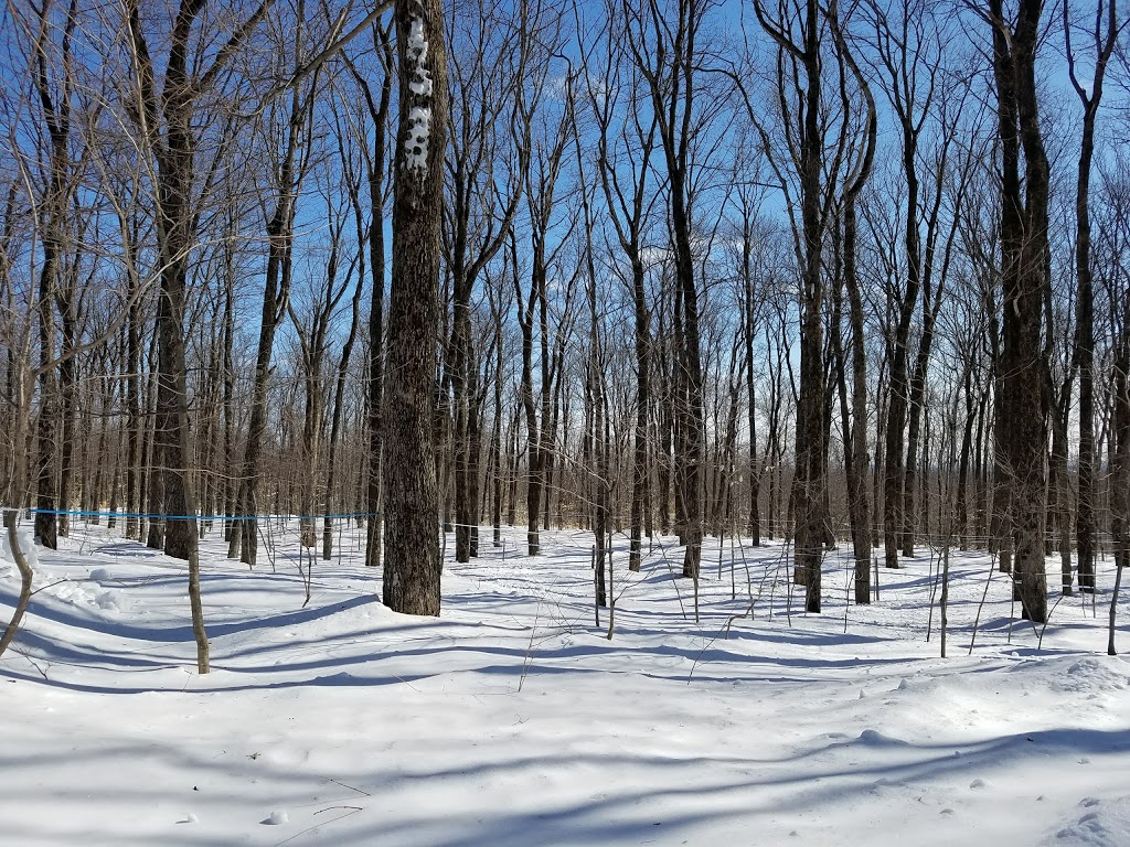 Sucrerie Boisvert et Fils Inc | 11 Rang de la Rivière Batiscan Nord-Est, Saint-Stanislas-de-Champlain, QC G0X 3E0, Canada | Phone: (418) 328-3722