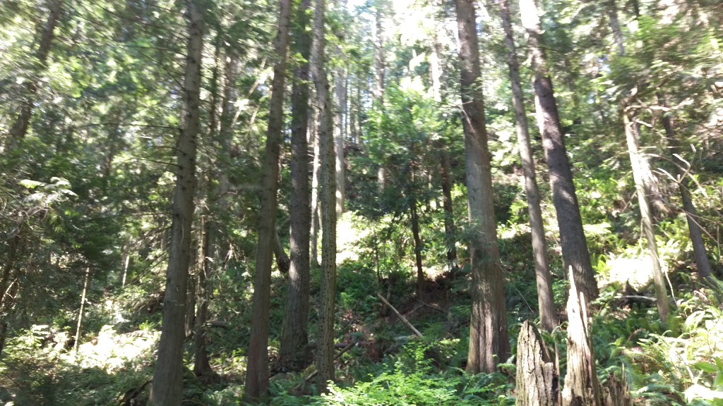 Cedar Lake Overlook | Bellingham, WA 98229, USA