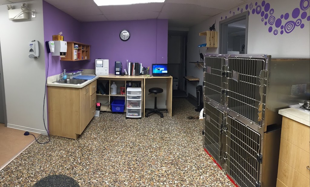 Méliblack Veterinary Clinic | 333 Rue St Joseph, La Tuque, QC G9X 1L3, Canada | Phone: (819) 523-2303