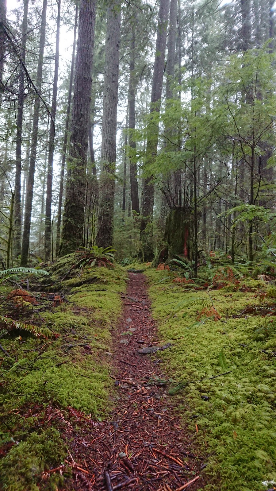 Horseshoe Trail | Horseshoe Trail, Anmore, BC V3H 4Y7, Canada