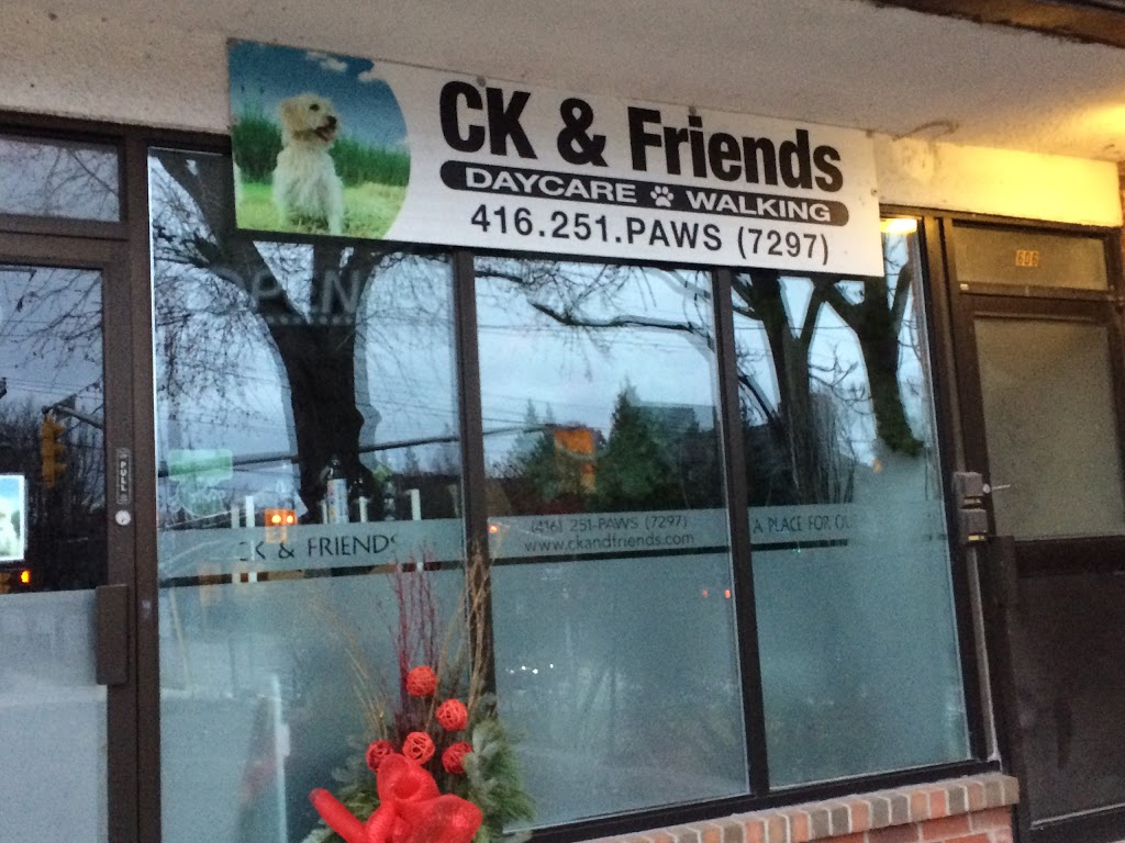 CK & Friends | 606 The Queensway, Etobicoke, ON M8Y 1K1, Canada | Phone: (416) 251-7297