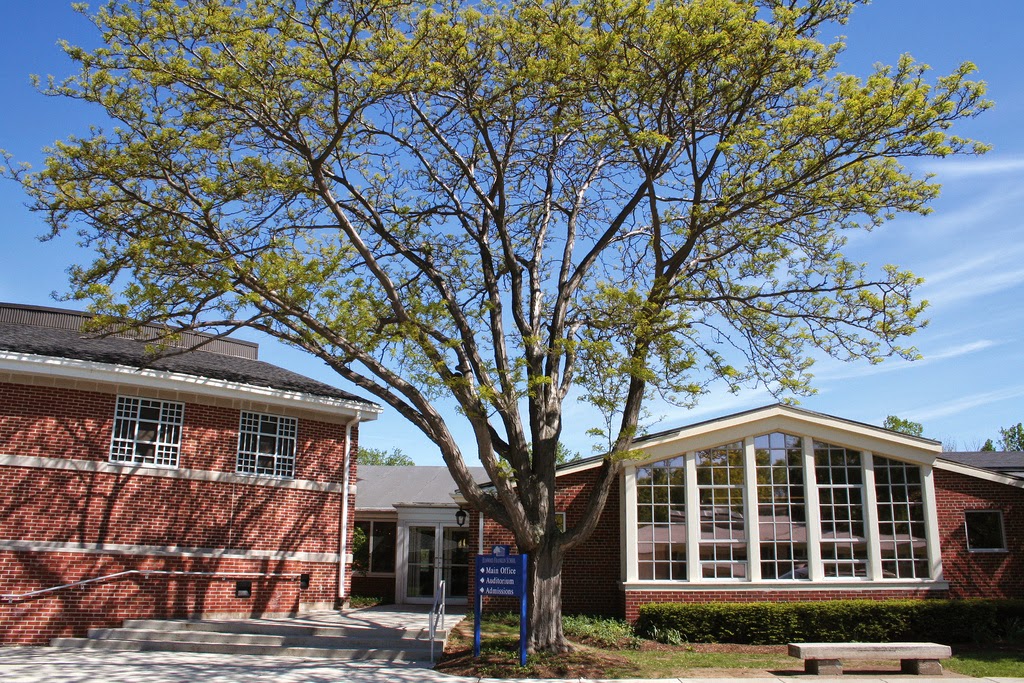 Elmwood Franklin School | 104 New Amsterdam Ave, Buffalo, NY 14216, USA | Phone: (716) 877-5035